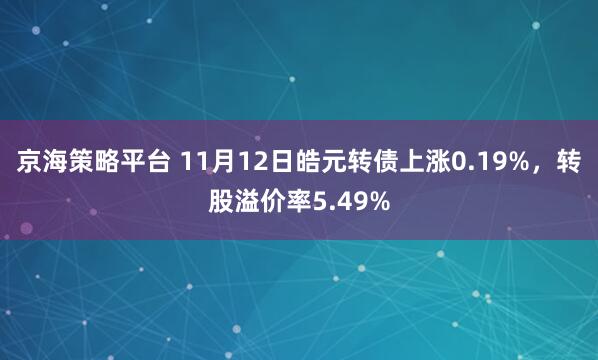京海策略平台 11月12日皓元转债上涨0.19%，转股溢价率5.49%
